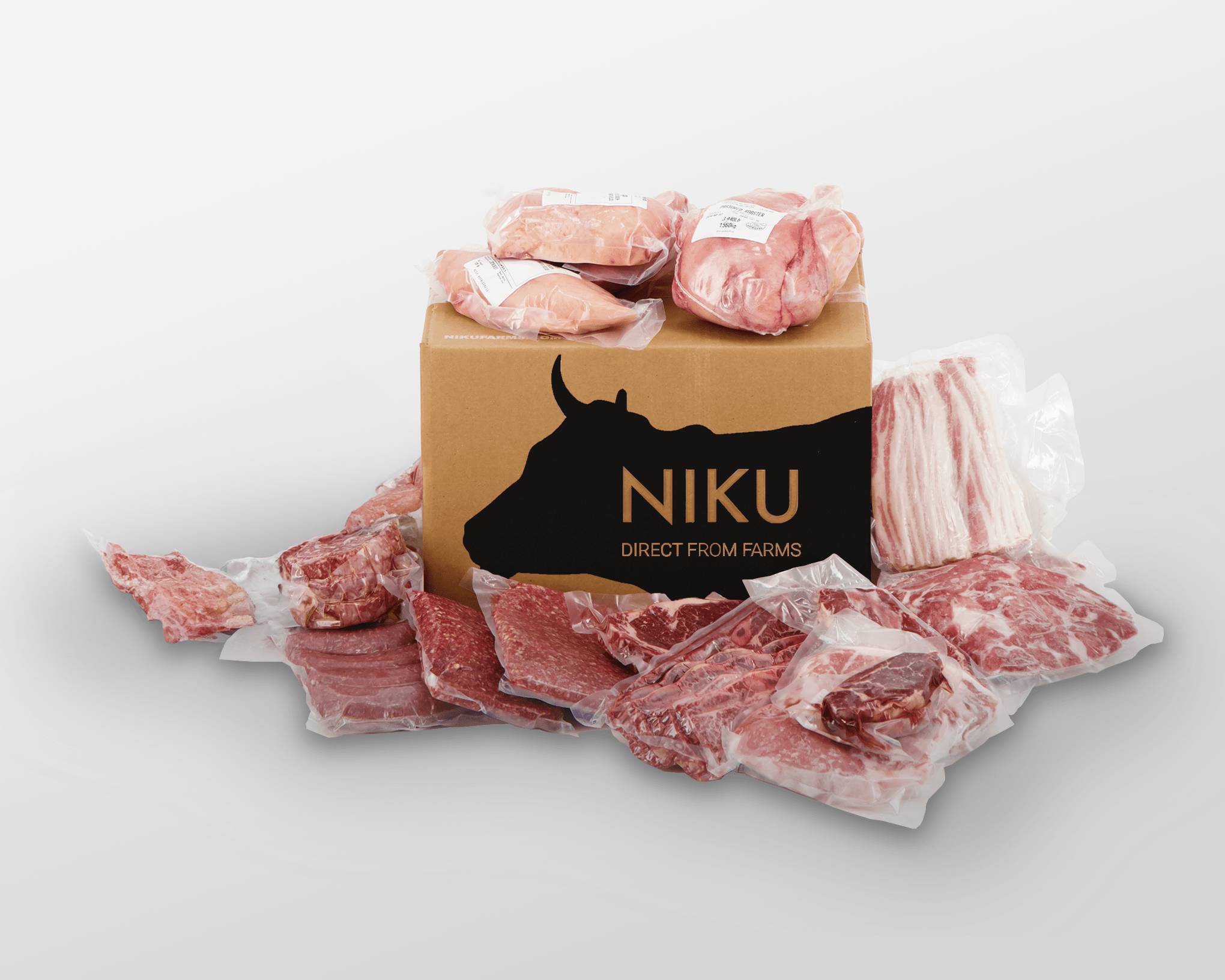 large size niku box